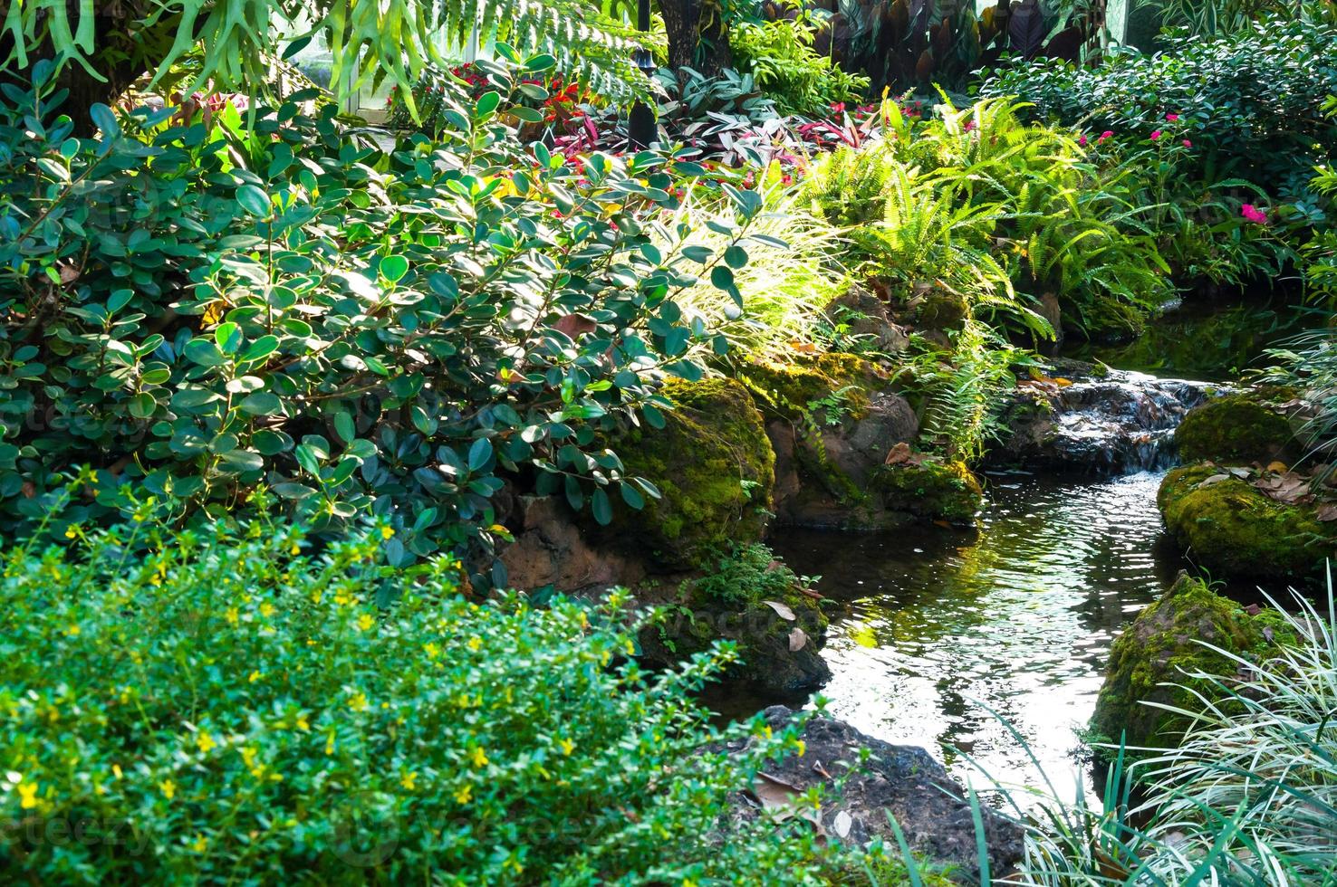 schön Landschaftsbau mit schön Pflanzen und Blumen, Frühling Blumen im das asiatisch Garten mit ein Fluss foto