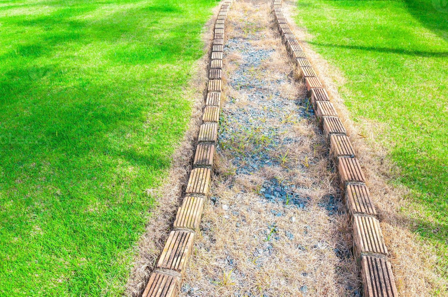 Gehweg Kurve auf Gras beim Garten, a Weg, Gehweg von das Park foto