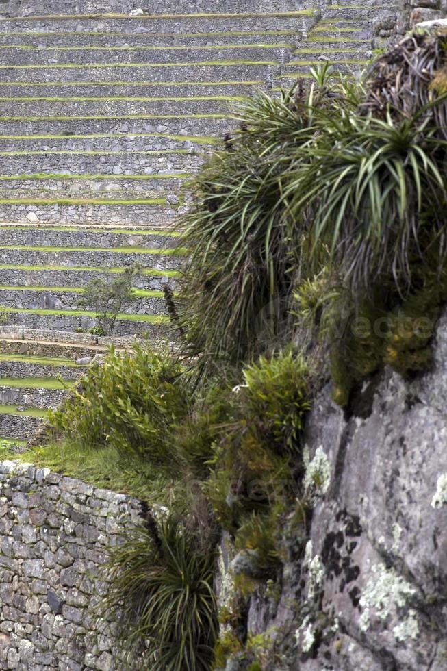 Steinmauer in Peru foto