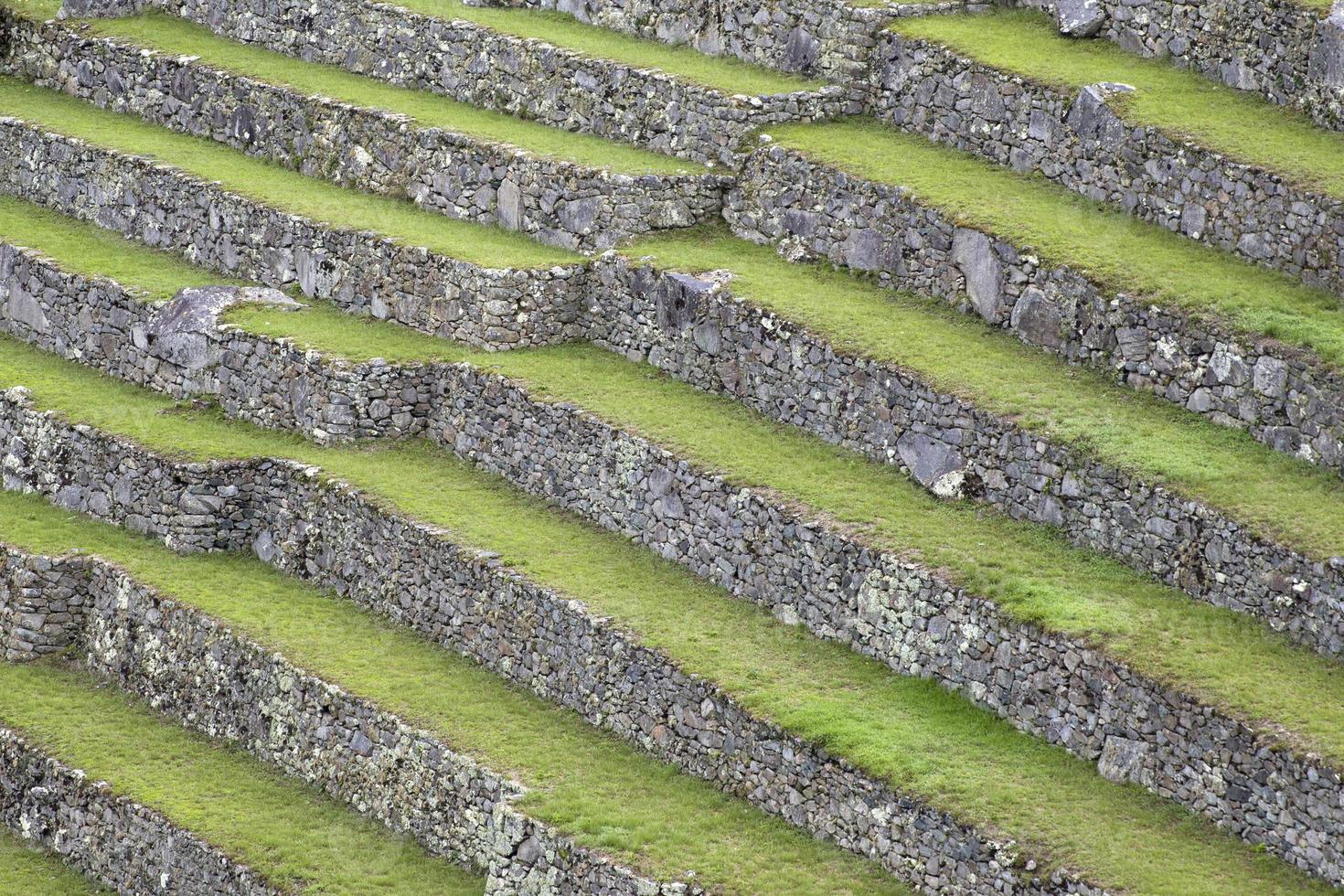 grüne terrassen in peru foto