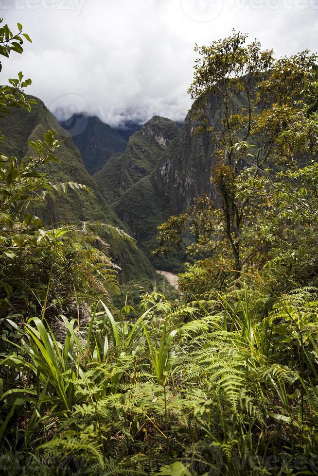 machu picchu in peru foto