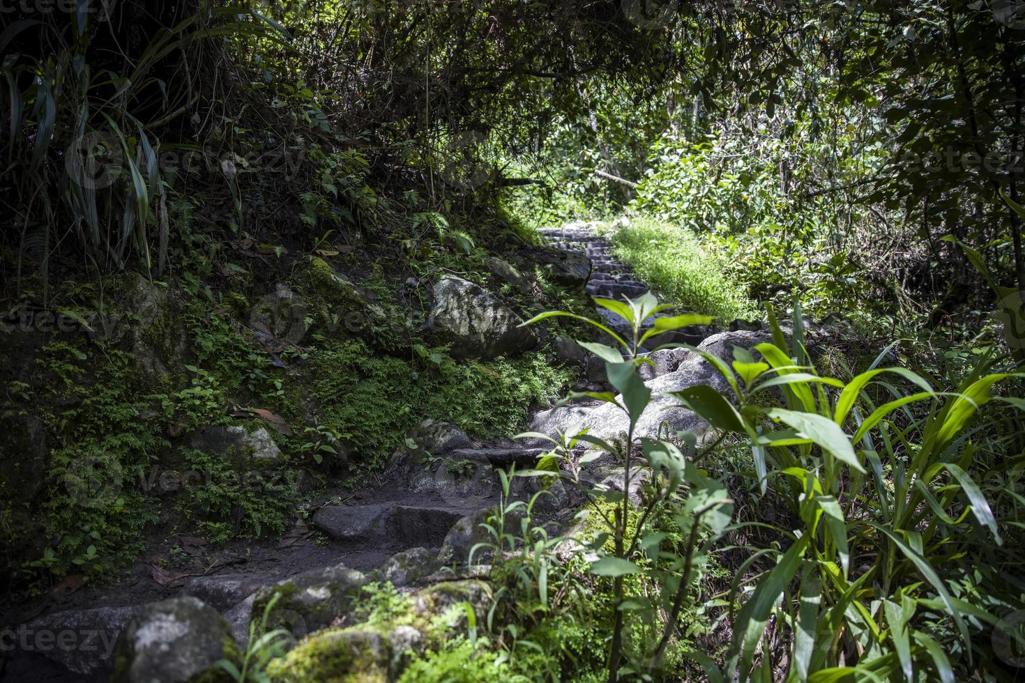 machu picchu in peru foto