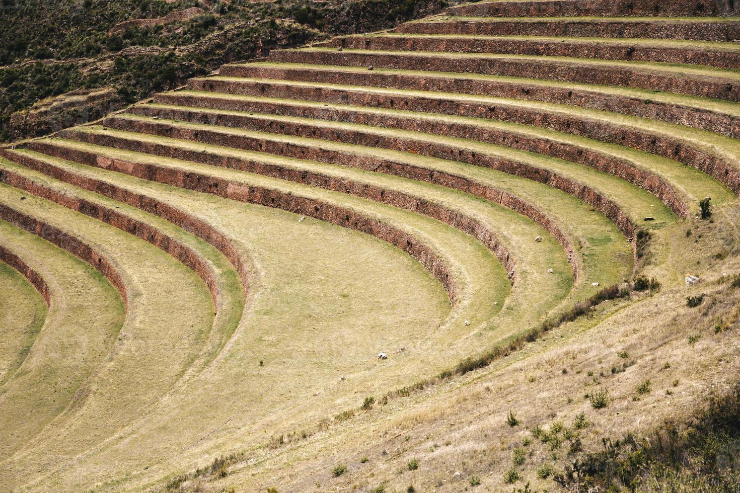 landwirtschaftliche terrassen in pisac, peru foto