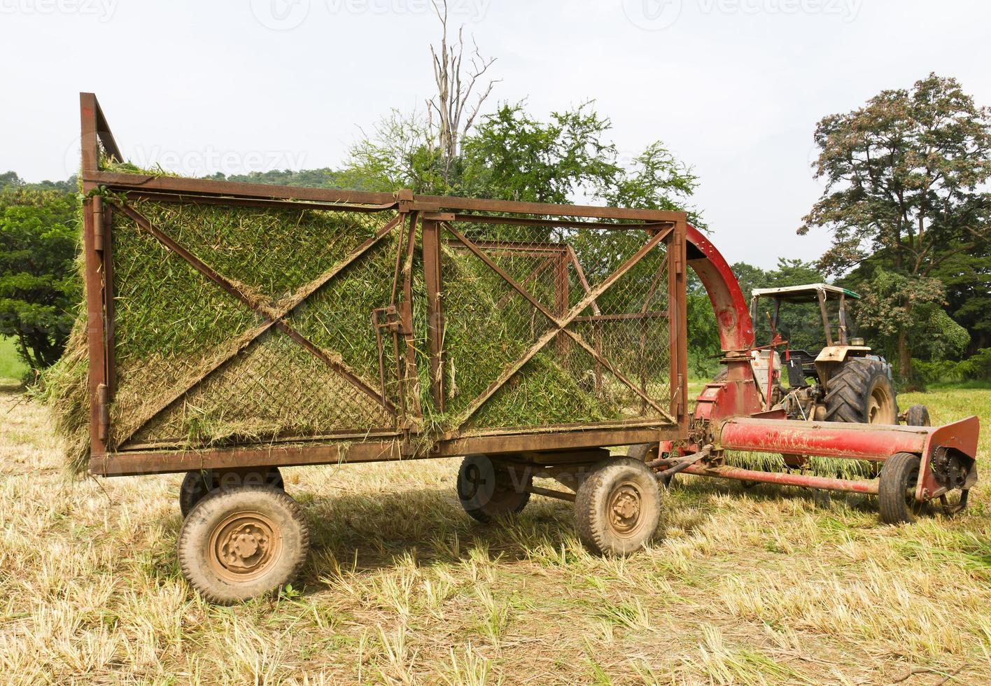 Heu Wagen mit Traktor foto