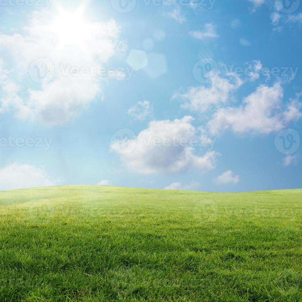 Frühling Rasen Landschaft foto