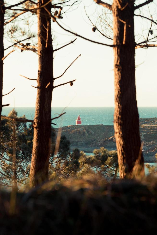 ein entspannender Blick auf einen Leuchtturm aus dem Wald während eines Frühlingstages foto