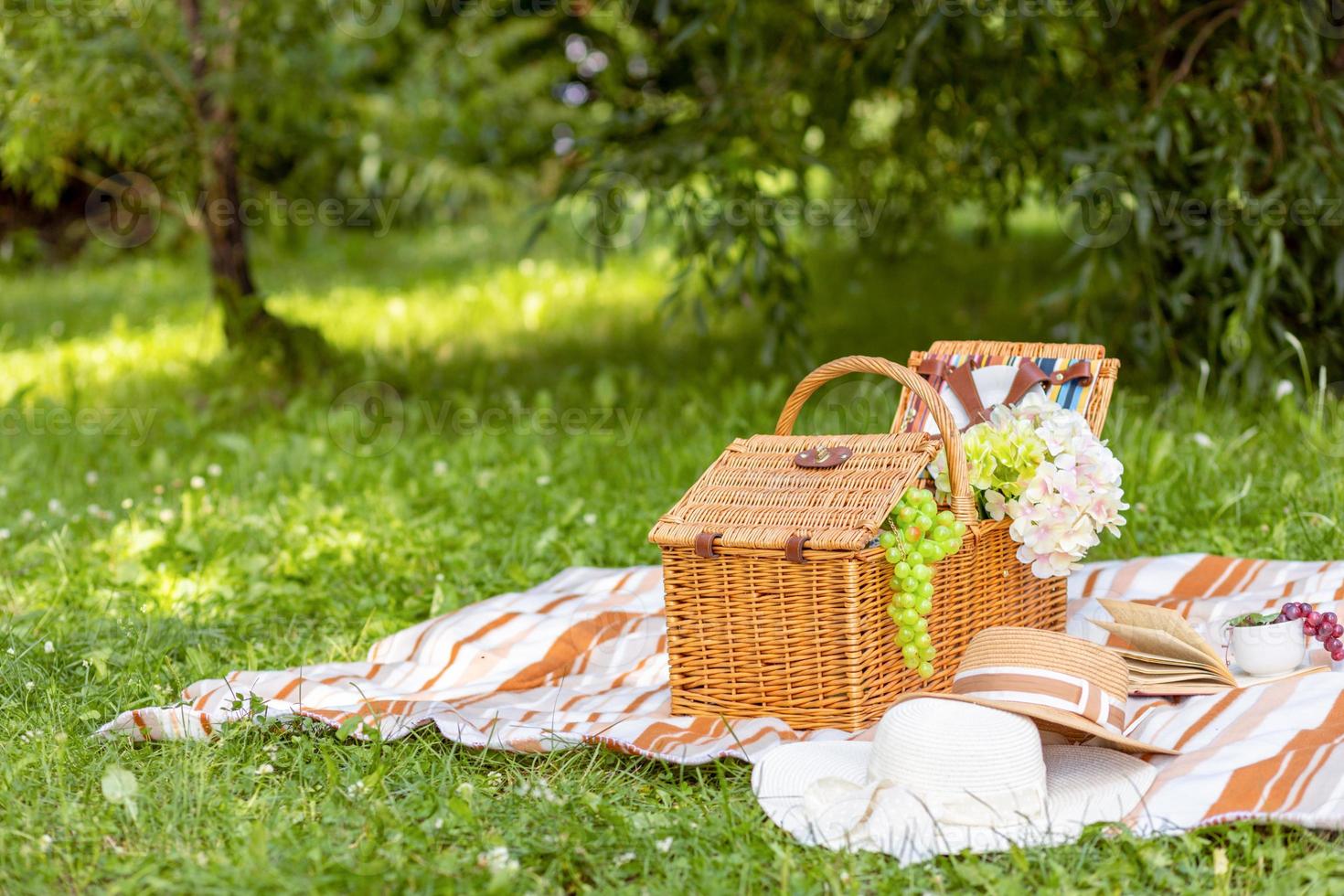 Sommer- romantisch Picknick im ein schön Wiese. Raum zum Text foto