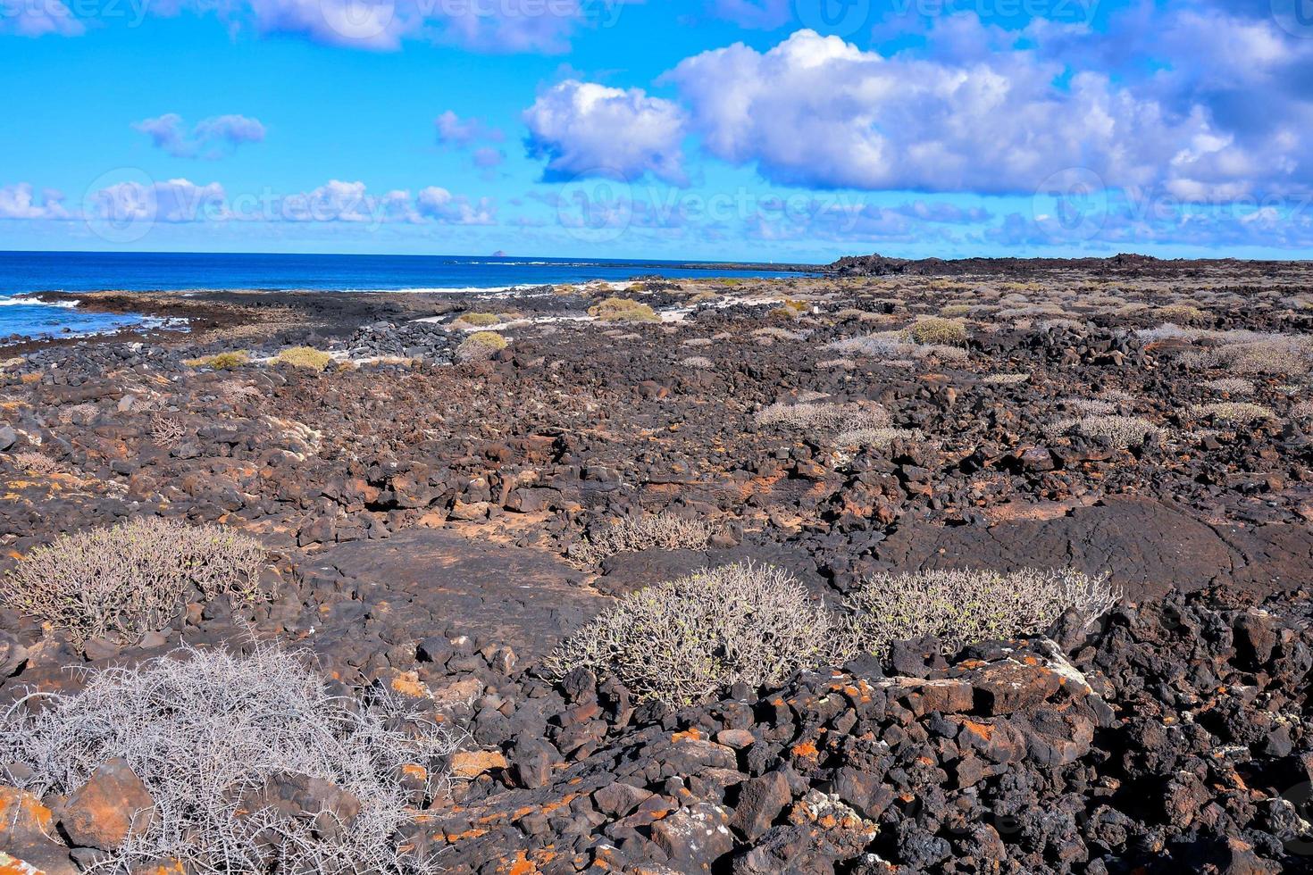 Landschaft auf Tenerife foto