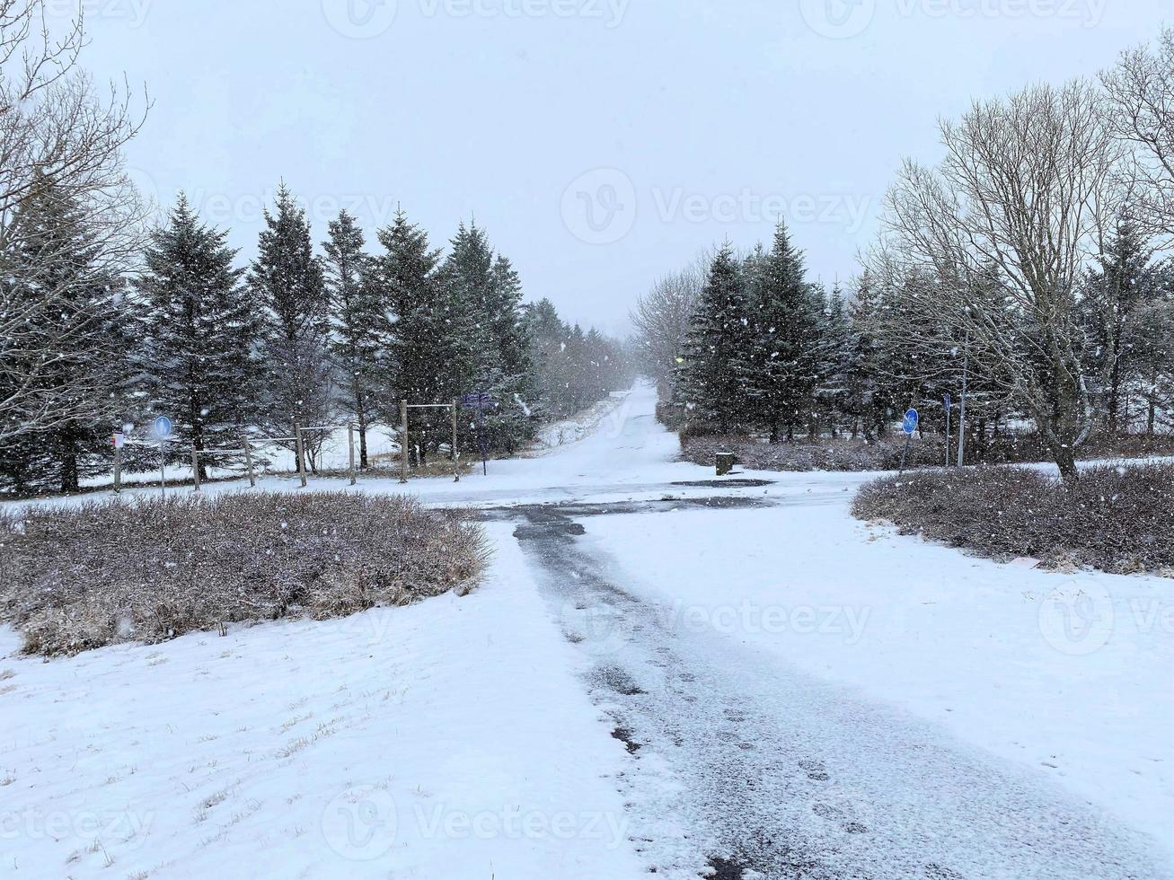 ein Aussicht von Reykjavik Park bedeckt im Schnee foto