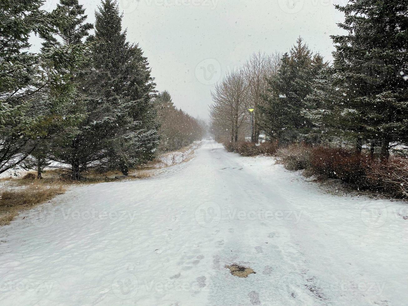 ein Aussicht von Reykjavik Park bedeckt im Schnee foto