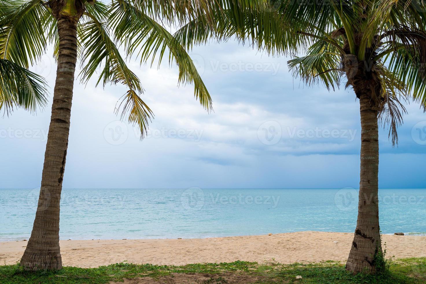 Palmenrahmen mit Sandstrand foto