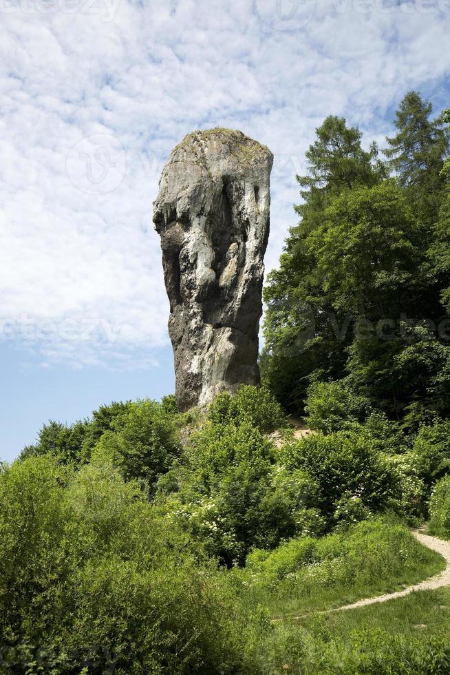 Knüppel von Herkules im Polen foto