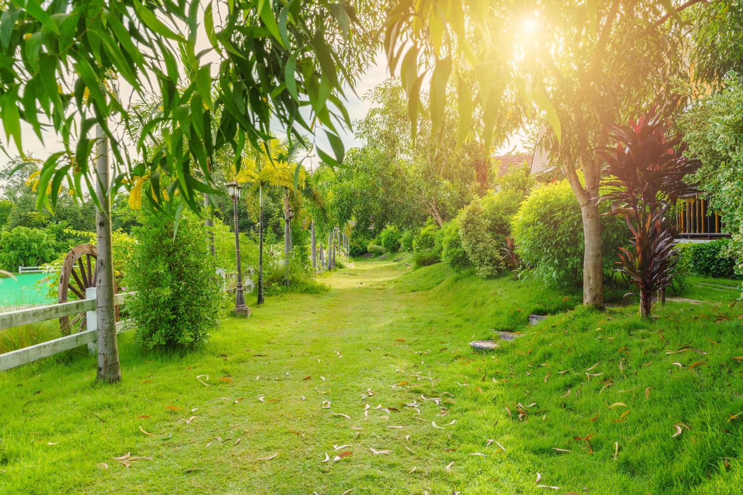 schöner grüner Garten foto