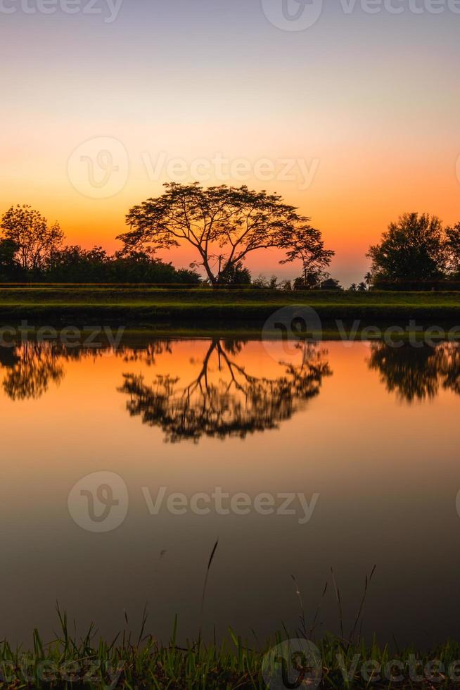 Bäume durch das Kanal beim Sonnenuntergang, Wasser Betrachtung foto