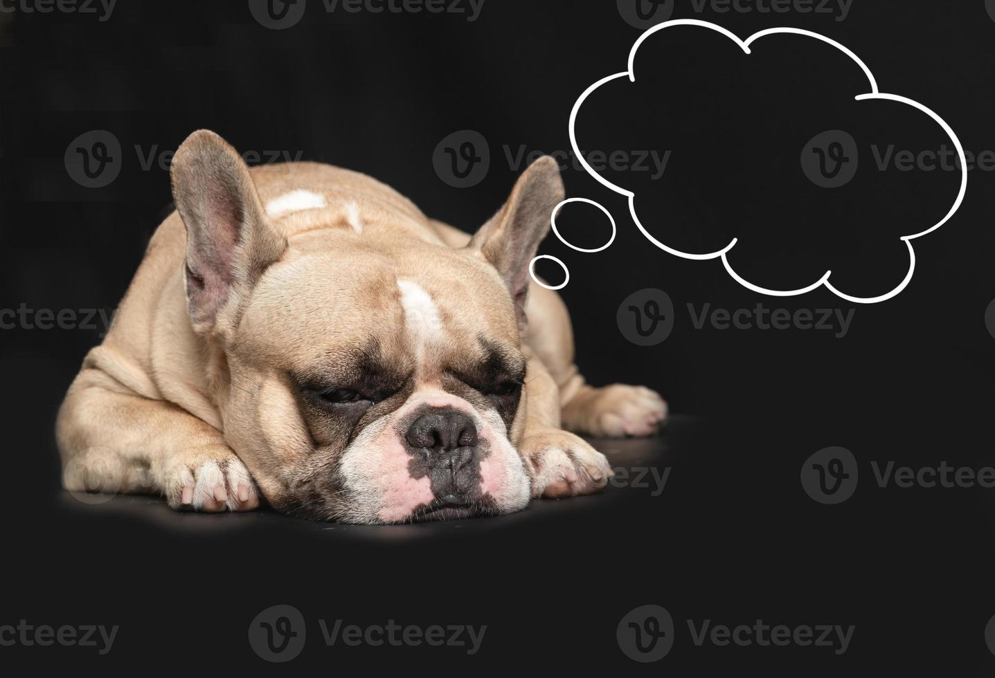 süß Französisch Bulldogge Schlafen mit Rede Blase auf schwarz Hintergrund, Denken oder Traum foto
