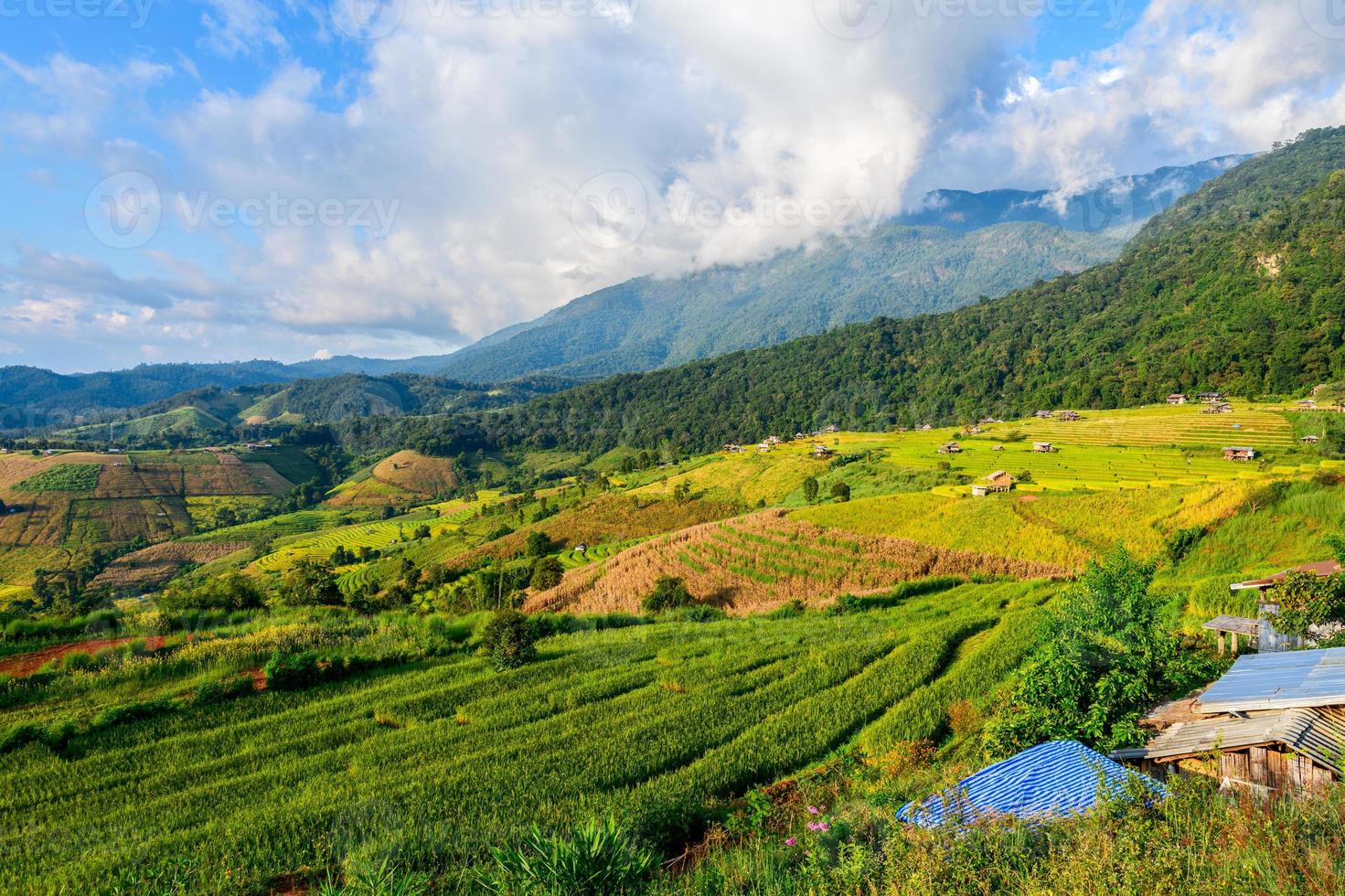 Landschaft von pa Pong Piang Reis Terrassen mit Gastfamilie auf Berg, mae Cham, Chiang Mai, foto