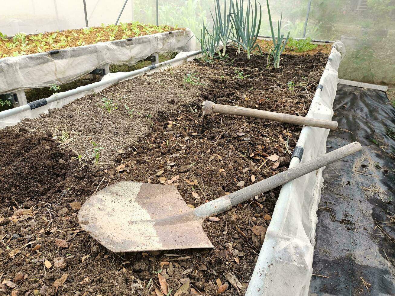 Bilder von Boden zum Anbau und landwirtschaftlich Ausrüstung. foto