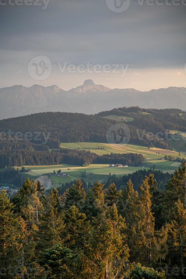 schweizerisch Berg Landschaft mit Nadelbaum Bäume wie Vordergrund foto