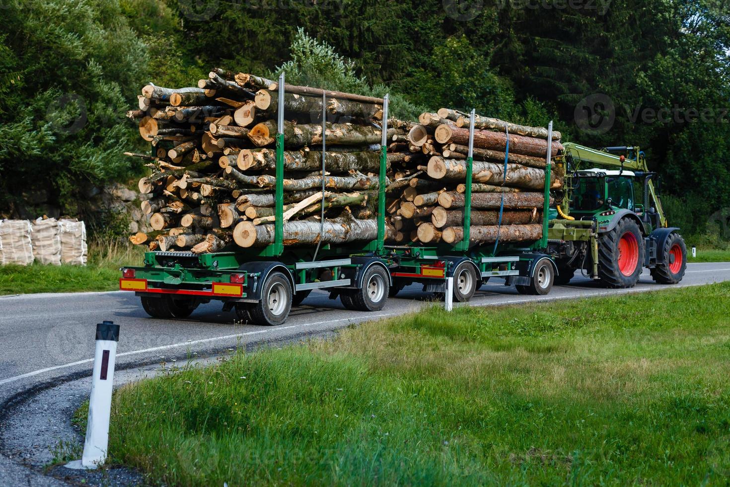 ein groß LKW Transportieren Holz auf ein Berg Straße foto