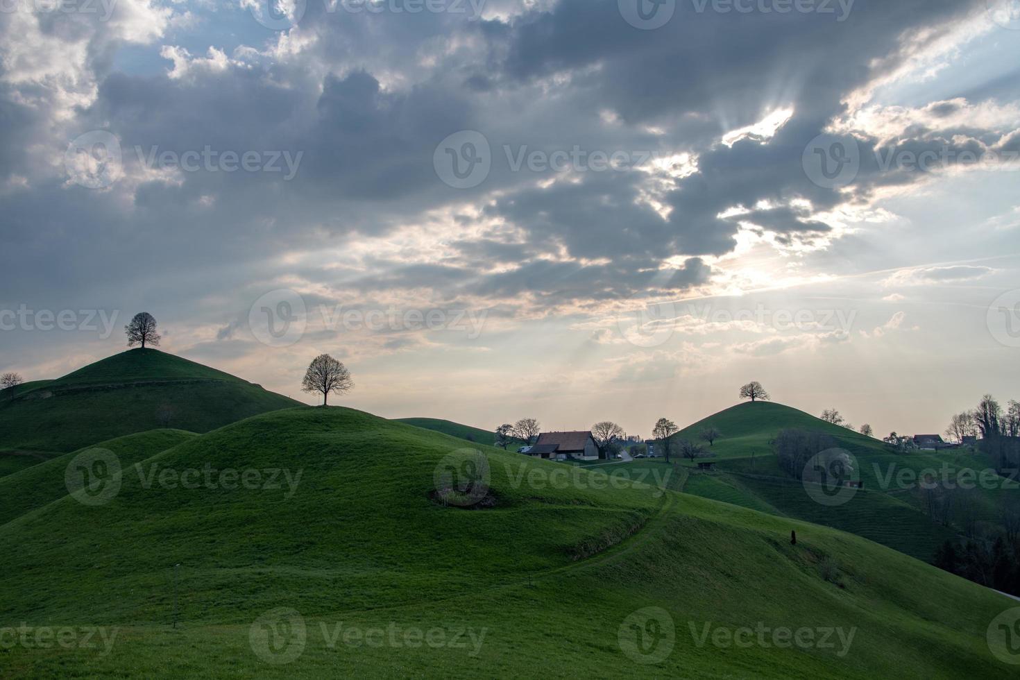 Bäume Stehen auf Hügel während das Sonnenuntergang foto