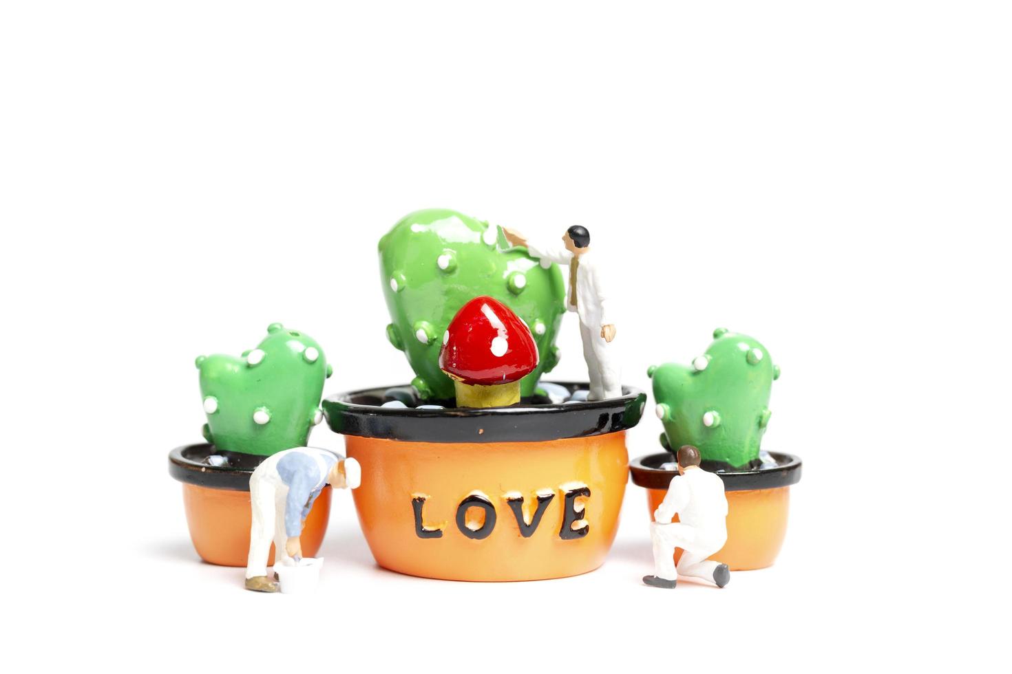 Miniaturmaler, die Pflanzen in einer Schote mit dem Wort Liebe, Valentinstagskonzept färben foto