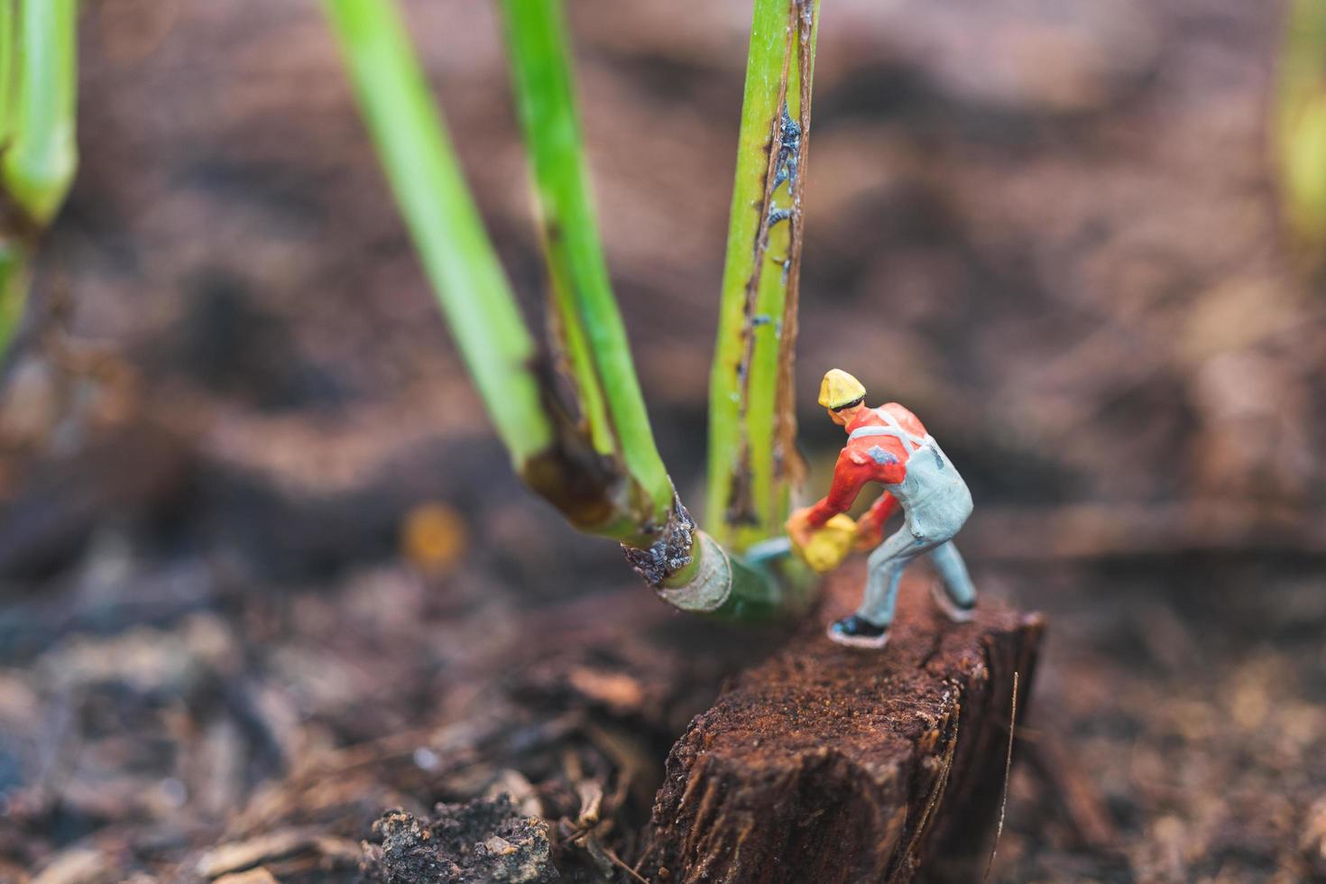 Miniaturarbeiter, der mit einem Baum arbeitet und Naturkonzept schützt foto