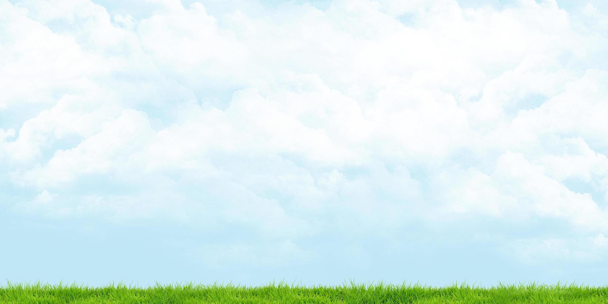 grüne Wiese und bewölkter Himmel, Panoramablick, 3d Illustration foto