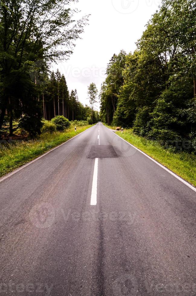 Straße auf dem Land foto