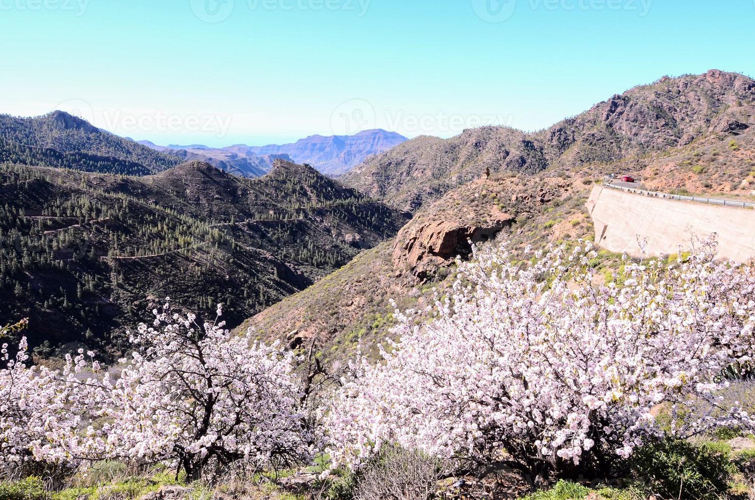 szenisch Landschaft auf Teneriffa, Kanarienvogel Inseln, Spanien foto