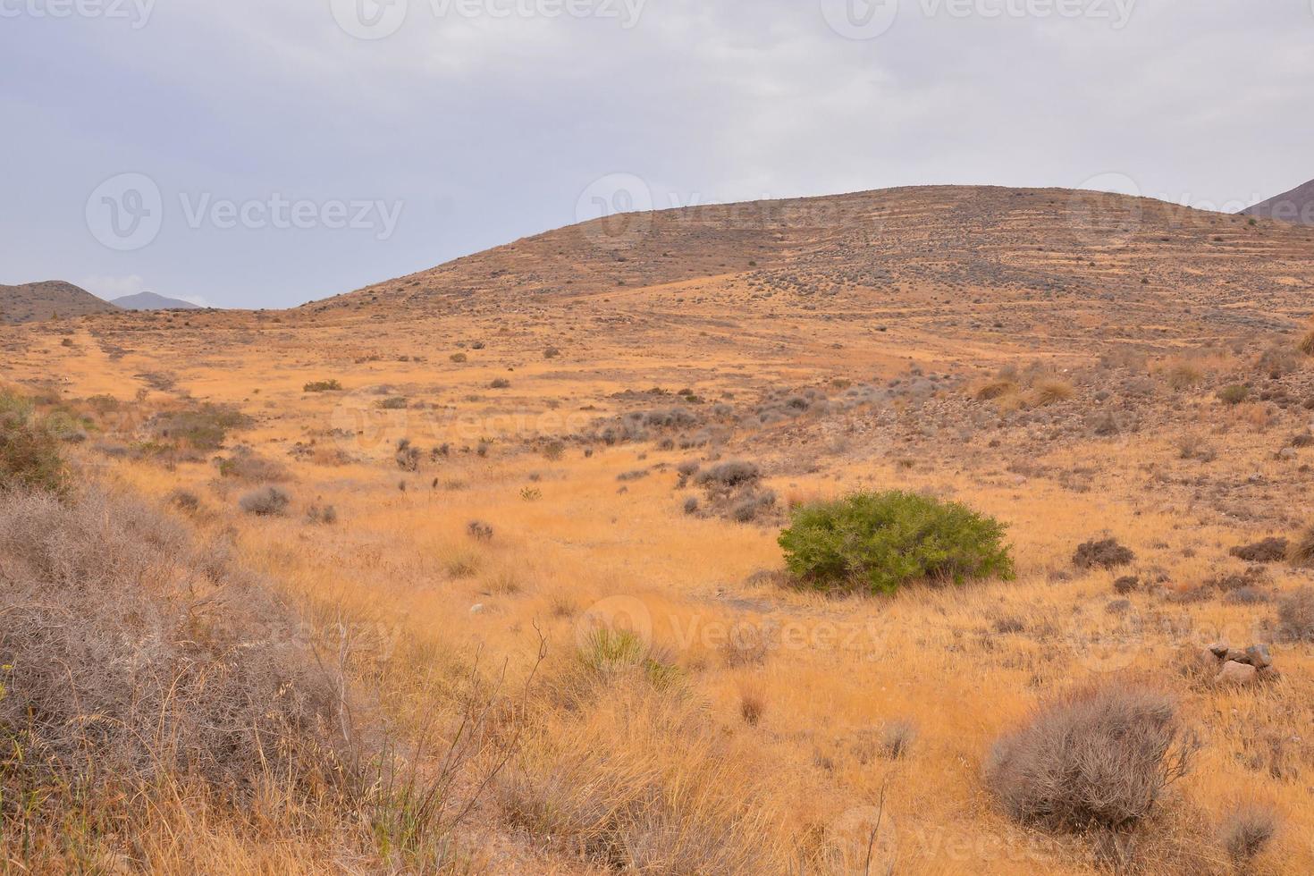 malerische Wüstenlandschaft foto