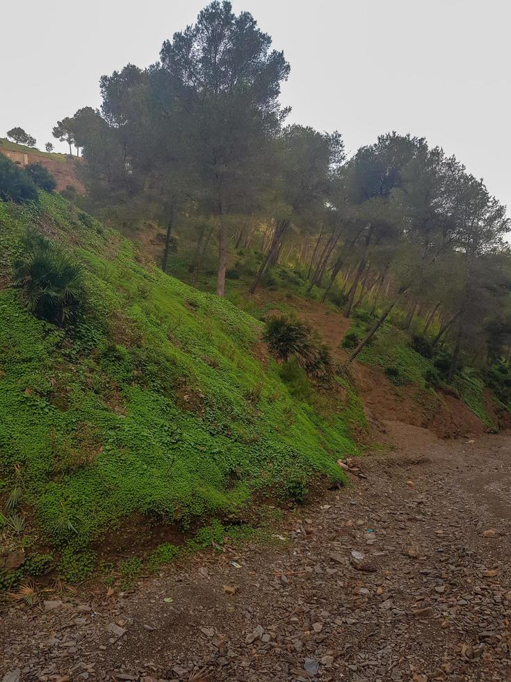 versteckt Natur Spaß zu entdecken Berg Landschaft foto