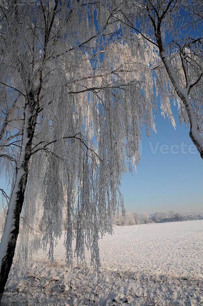 Winterzeit in Westfalen foto
