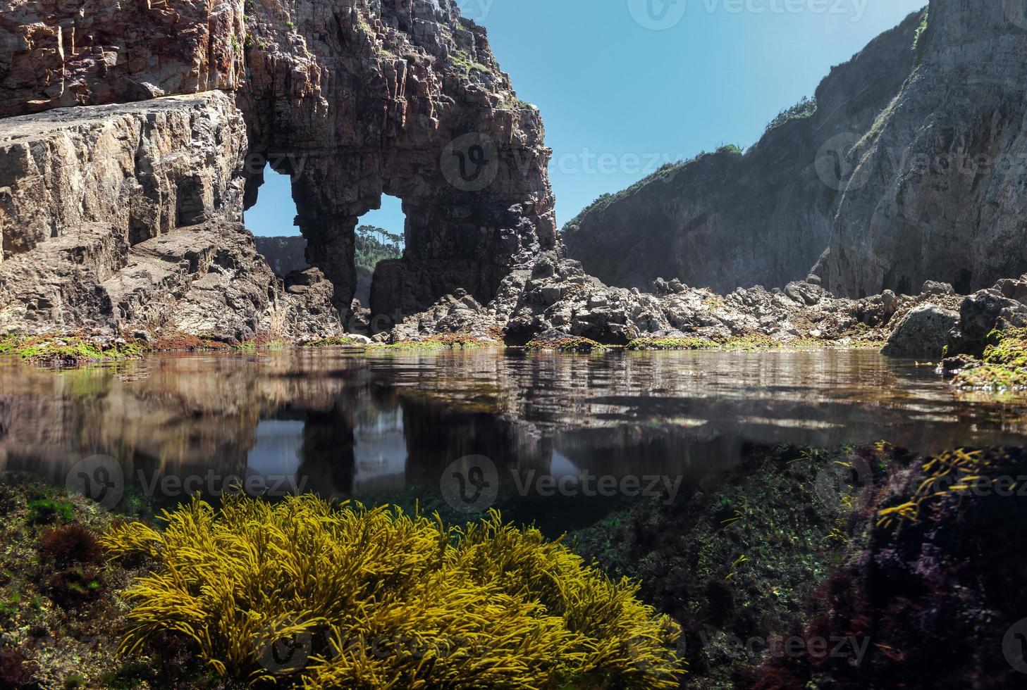 Blick unter und über das Wasser in einem Gezeitenbecken foto