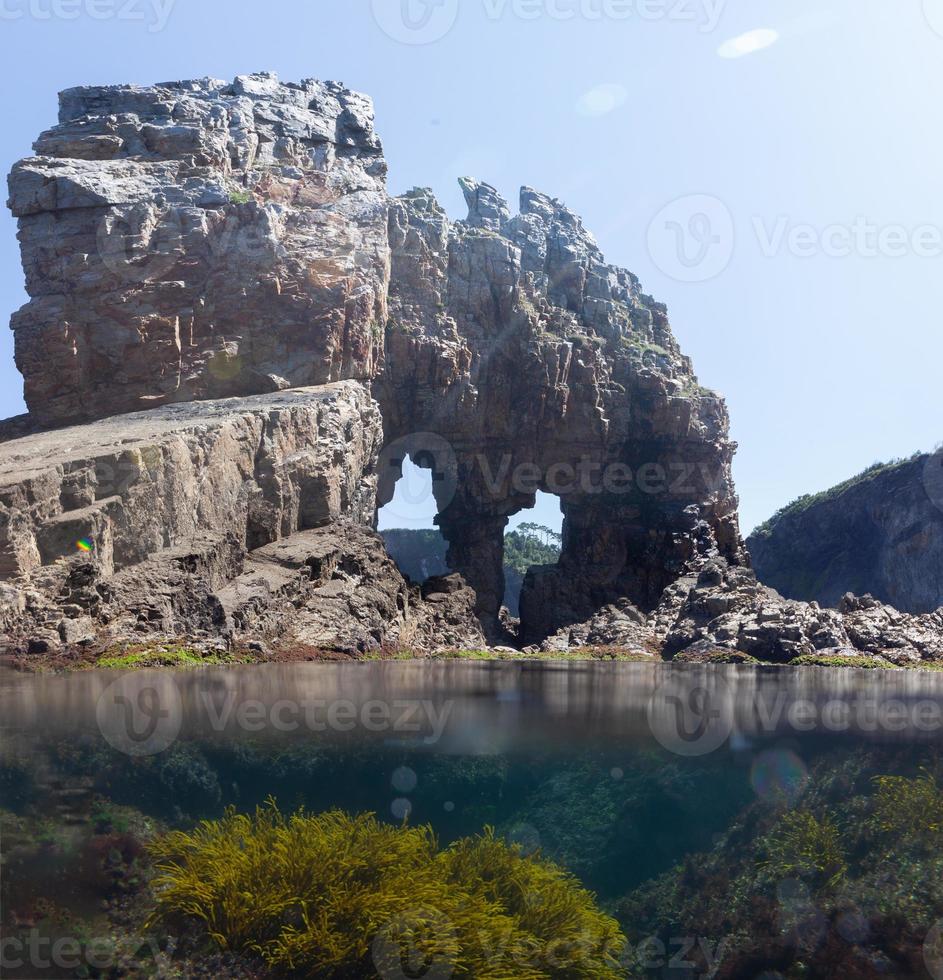 Blick unter und über das Wasser in einem Gezeitenbecken foto