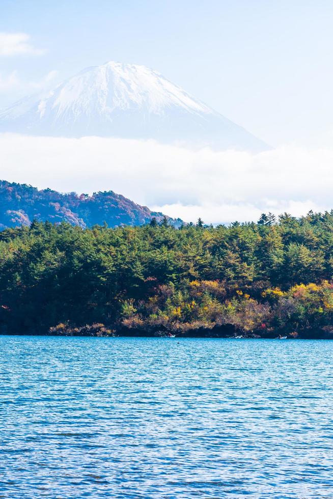 Landschaft bei mt. Fuji, Japan foto