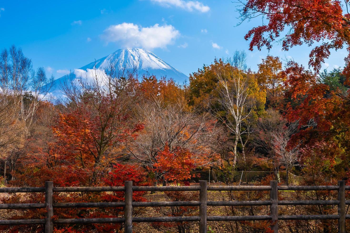 Landschaft bei mt. Fuji, Yamanashi, Japan foto