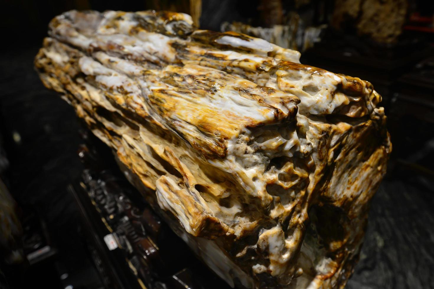 versteinert Holz im Xinjiang, China, diese schön Fossil zeigt an das Textur und Lüster von Jade foto