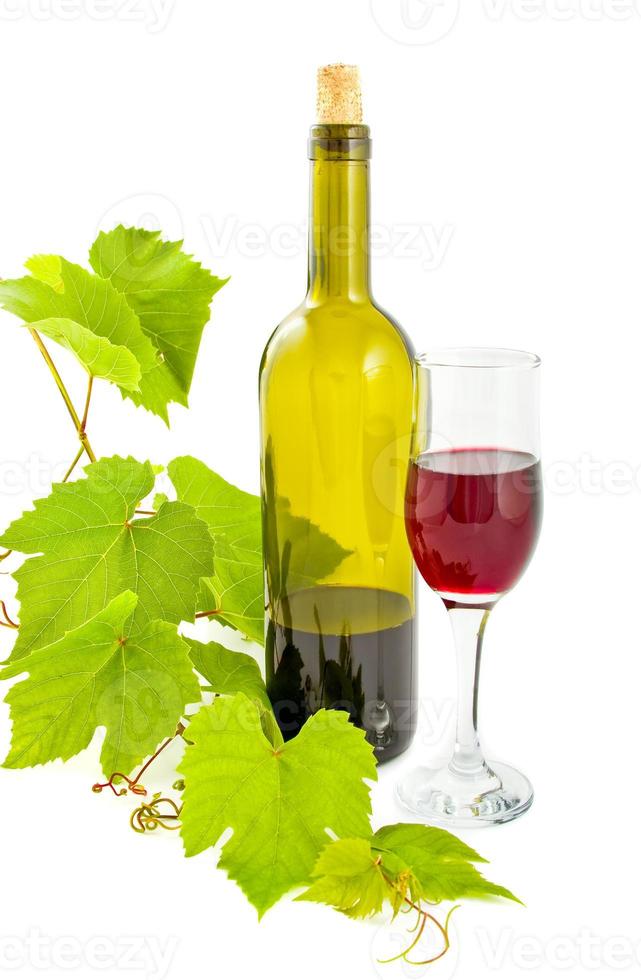 Wein Glas und Blätter foto