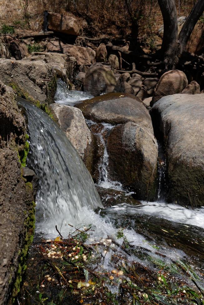 kleiner Wasserfall über Felsen in einem Wald foto