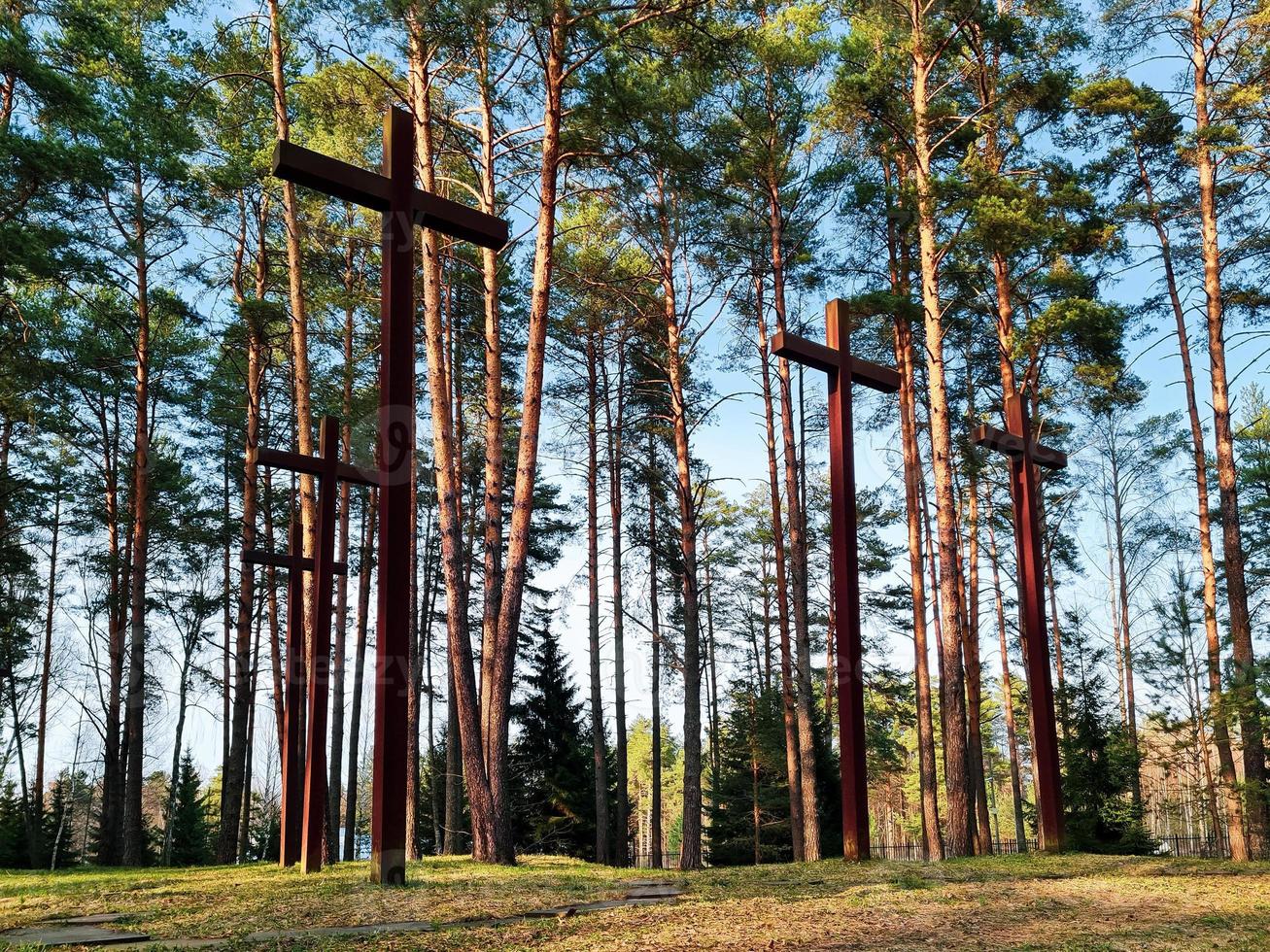 hohe kreuze zwischen den bäumen auf dem polnischen soldatenfriedhof. Denkmal für den zweiten Weltkrieg. foto