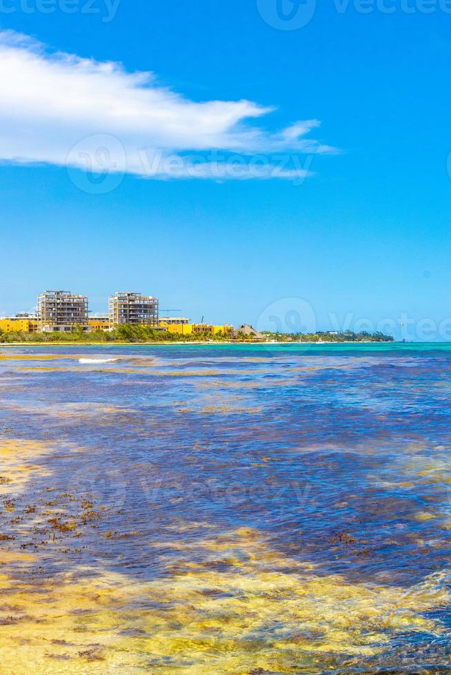 tropischer karibischer strand klares türkisfarbenes wasser playa del carmen mexiko. foto