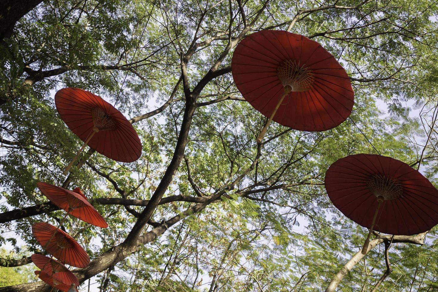 handgefertigte Papierschirme hängen in einem Baum foto