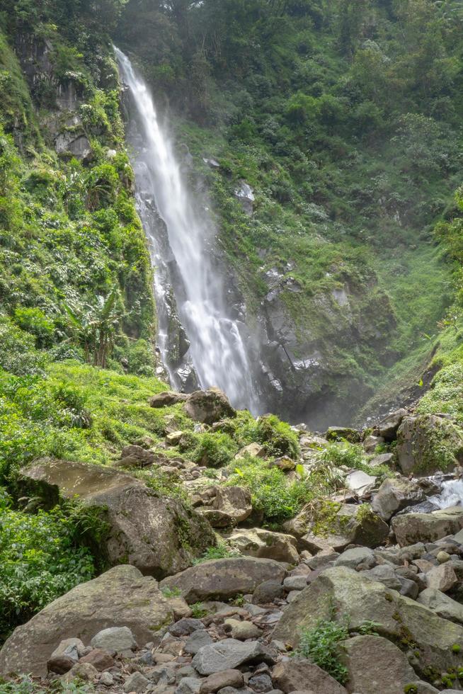 Landschaft von Single Wasser fallen auf das tropisch Wald. das Foto ist geeignet zu verwenden zum Abenteuer Inhalt Medien, Natur Poster und Wald Hintergrund.