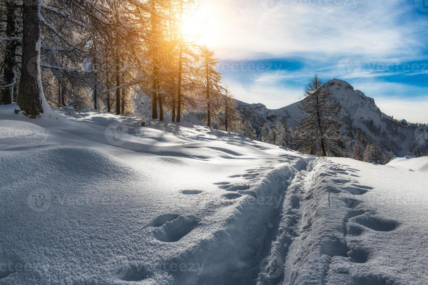 Track Skifahrer Bergsteiger foto