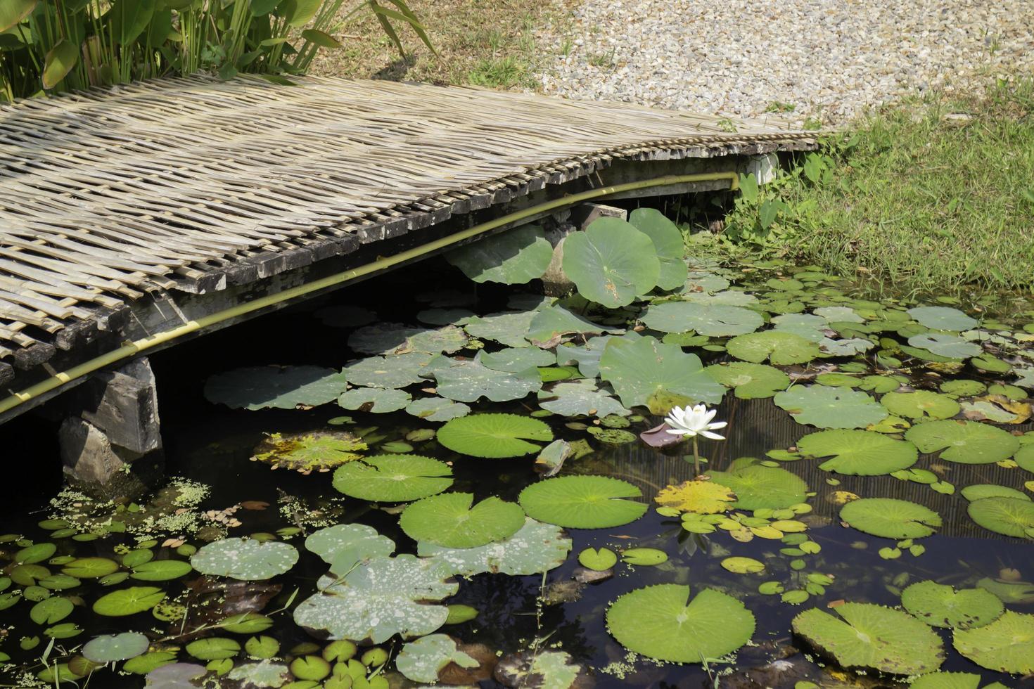 Brücke über einen Teich foto