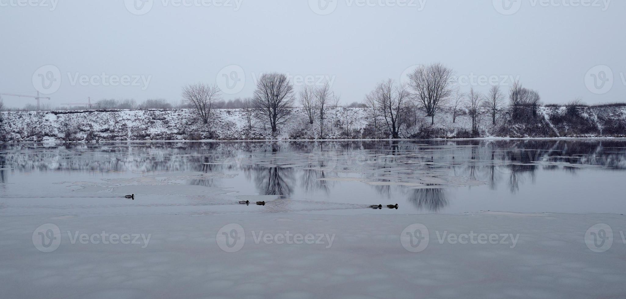 Enten schwimmen im offenen Wasser in Moskau foto