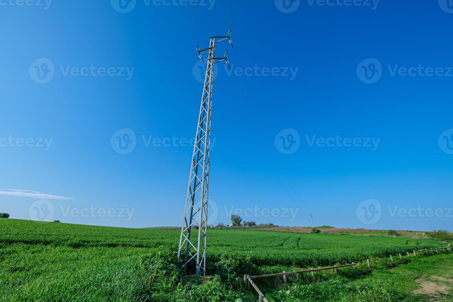 Telefonmast im ländlichen grünen Feld foto