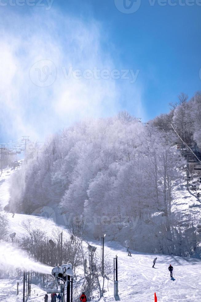 Winter und Schnee Landschaft in der Nähe von Buche Berg Norden Carolina foto