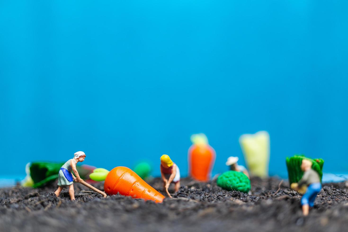 Miniaturgärtner, die Gemüse ernten, landwirtschaftliches Konzept foto