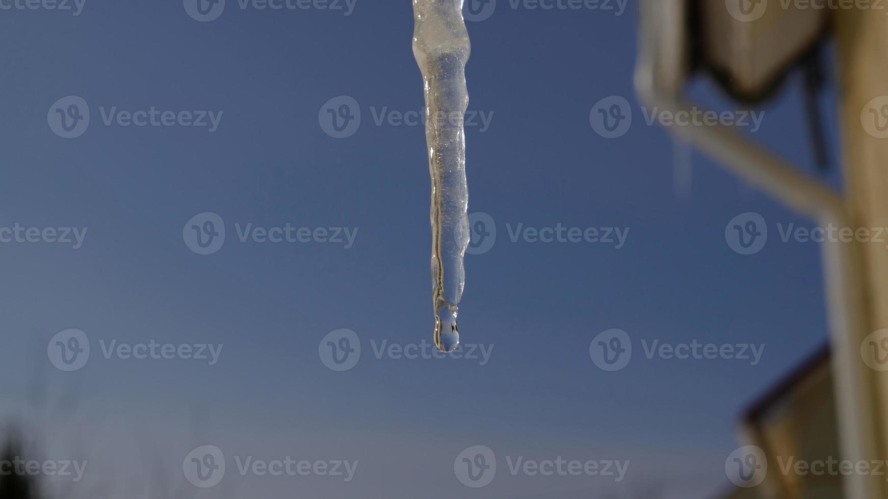 Frühling Tropfen Stürze Nieder von lange Kristall schmelzen Eiszapfen hängend Nieder Vor klar Blau Himmel auf hell sonnig auftauen Tag. das Konzept von das Anfang von Frühling, das Ende von Winter, auftauen. foto